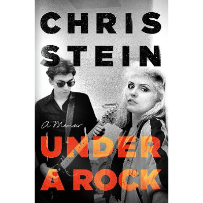 Under A Rock - Chris Stein