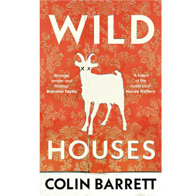 Wild Houses - Colin Barrett
