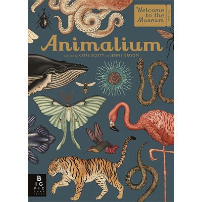 Animalium - Happy Valley Jenny Broom Book