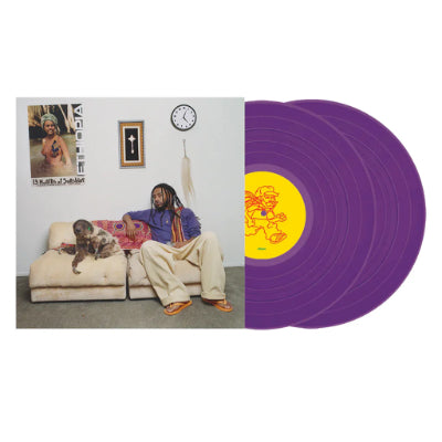 2discs LP Amine 13 Months Of Sunshine none CLBN 未開封 /00660 Amine - 13 Months of Sunshine on Vinyl LP | Rough Trade - (2LP