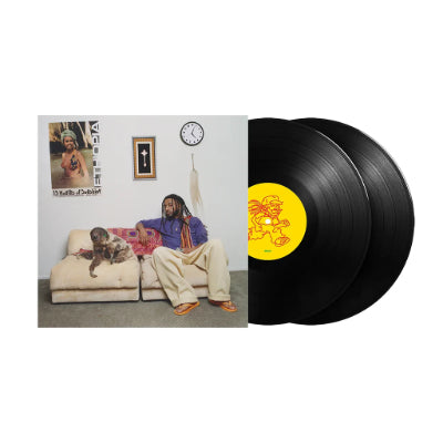 Amine - 13 Months Of Sunshine (Standard Black Gatefold 2LP Vinyl)