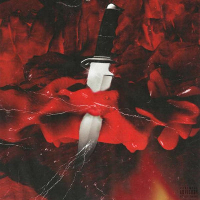 21 Savage + Metro Boomin - Savage Mode (10th Anniversary Black Vinyl)