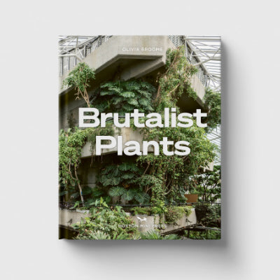 Brutalist Plants - Olivia Broome