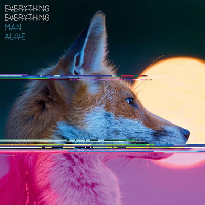 Everything Everything - Man Alive (Vinyl)