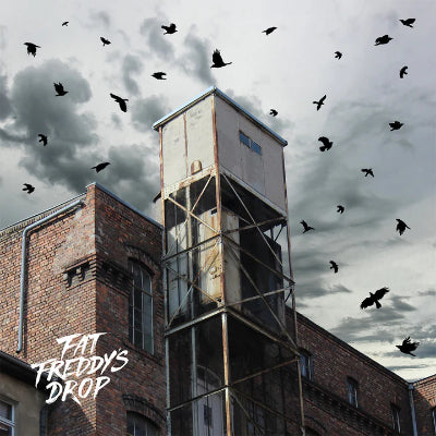 Fat Freddy's Drop - Blackbird Returns (2LP Vinyl)