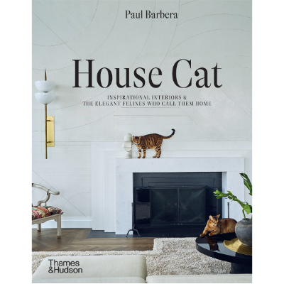 House Cat - Paul Barbera