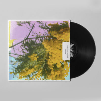 Four Tet - Into Dust (Still Falling) (12" Vinyl)