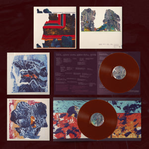 Grizzly Bear - Painted Ruins (2025 Reissue Oxblood Red Coloured 2LP Vinyl)