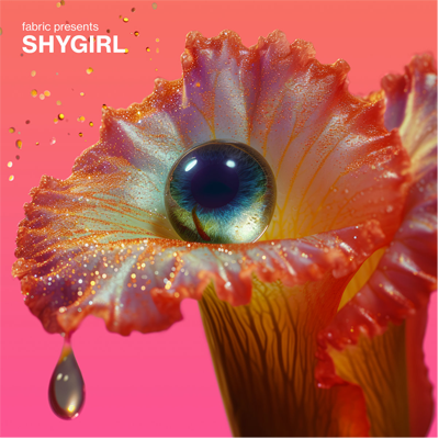 Shygirl - Fabric Presents Shygirl (Yellow Coloured 2LP Vinyl)