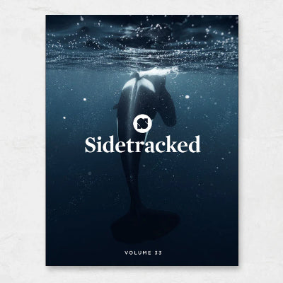 Sidetracked Magazine -  Volume 33