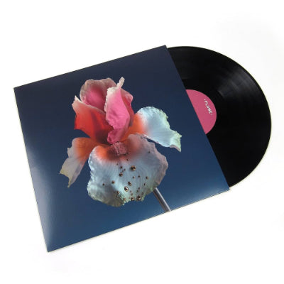 Flume - Tiny Cities (12" Vinyl)