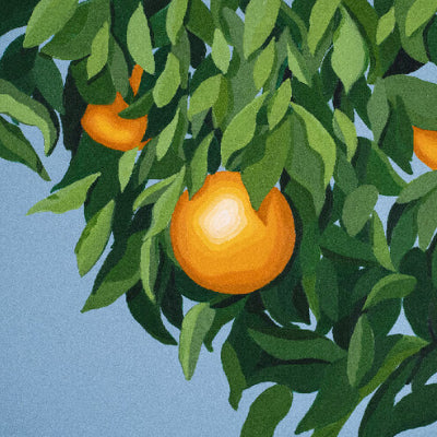 Ballgame, Tyler - For the First Time, Again (Standard Black Vinyl)