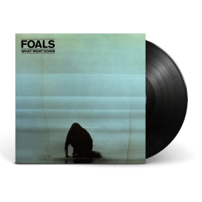 Foals - What Went Down (Vinyl)