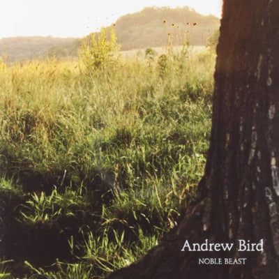 Bird, Andrew -  Noble Beast (2LP Vinyl)