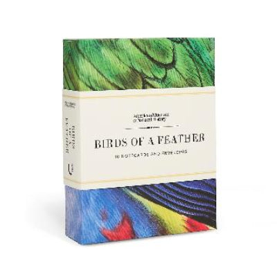 Birds of a Feather 10 Notecards and Envelopes - American Museum of Natural History