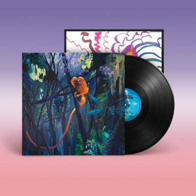 Bonnie 'Prince' Billy - We Are Together Again (Vinyl)