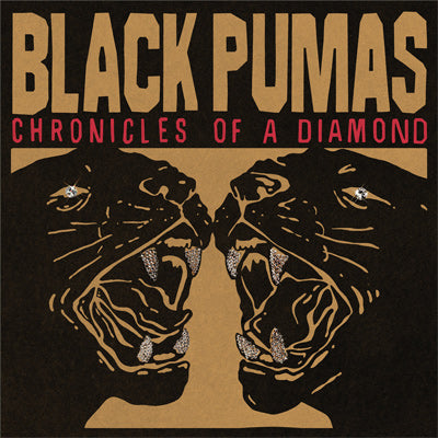 Black Pumas - Chronicles of a Diamond (Black Vinyl)