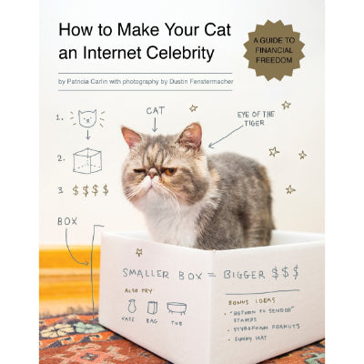 How to Make Your Cat an Internet Celebrity - A Guide to Financial Freedom - Patricia Carlin