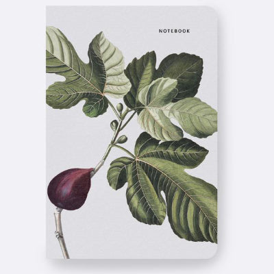 Father Rabbit Notebook - Fig