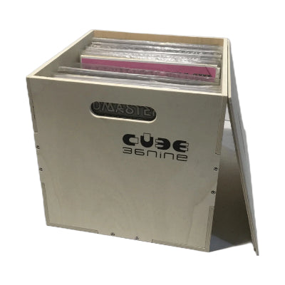 Vinyl Storage Box by Happy Homi