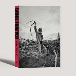 Since Forever - Jeff Ament (Book)