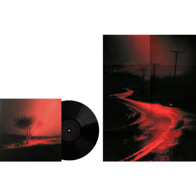 Joji - Piss In The Wind (Black Vinyl + Poster)