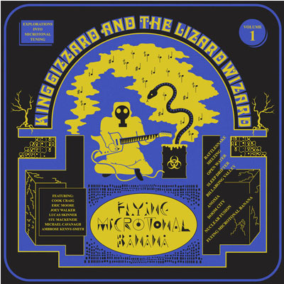 King Gizzard & The Lizard Wizard - Flying Microtonal Banana (Random Coloured Recycled Vinyl)