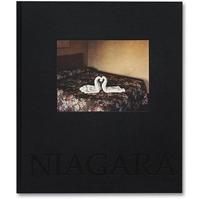 Niagara - Alec Soth