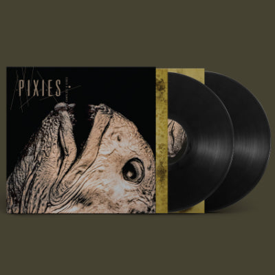 Pixies - Complete B Sides: 1988-97 (Black 2LP Vinyl)