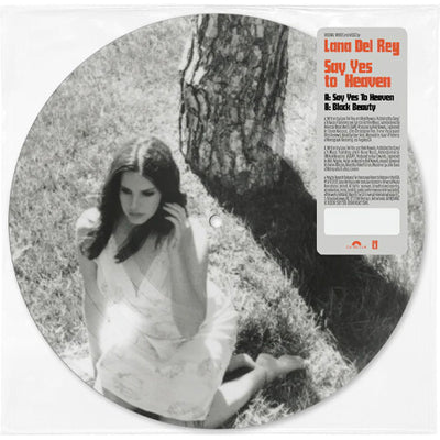 lana del rey ＜Picture Vinyl＞限定盤 稀少品 Del Rey, Lana - Say Yes To Heaven (7