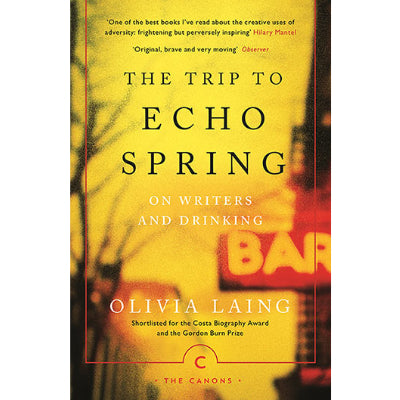 Trip to Echo Spring : On Writers and Drinking - Olivia Laing