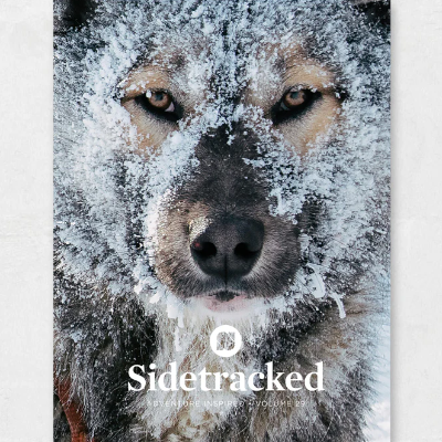 Sidetracked - Issue 29