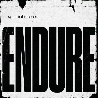 Special Interest - Endure (Vinyl)