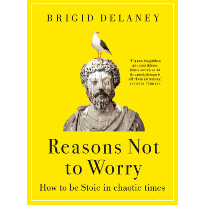 Reasons Not to Worry - Brigid Delaney