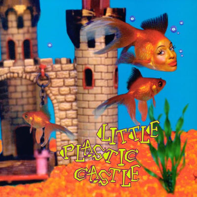 DiFranco, Ani - Little Plastic Castle (Limited 25th Anniversary Standard Black 2LP Vinyl)