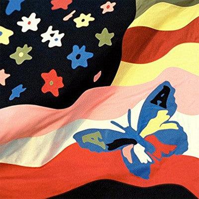 Avalanches - Wildflower (Vinyl) - Happy Valley Avalanches Vinyl