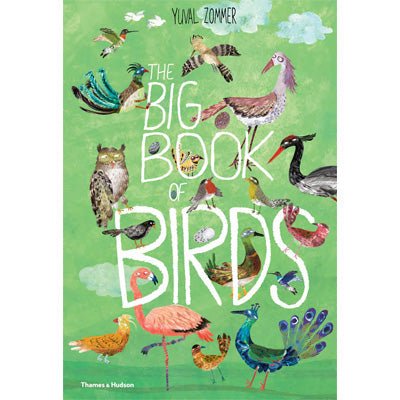 Big Book of Birds - Happy Valley Yuval Zommer Book