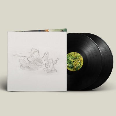 Big Thief - Dragon New Warm Mountain I Believe in You (Standard Black 2LP Vinyl) - Happy Valley Big Thief Vinyl