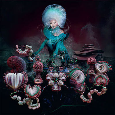 洋楽 2LP bjork - fossora Bjork - Fossora (Black 2LP Vinyl) - Happy Valley