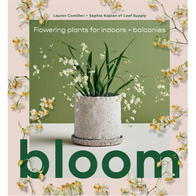 Bloom : Flowering plants for indoors and balconies - Lauren Camilleri, Sophia Kaplan