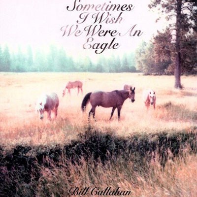 Callahan, Bill - Sometimes I Wish We Were An Eagle (Vinyl) - Happy Valley Bill Callahan Vinyl