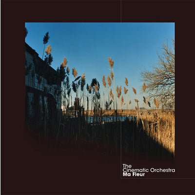 Cinematic Orchestra, The - Ma Fleur (Limited Edition Clear 2LP Vinyl) - Happy Valley The Cinematic Orchestra Vinyl