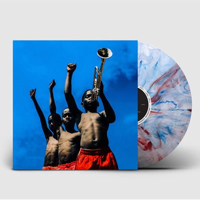 Common - A Beautiful Revolution Pt. 1 (Limited Red, White & Blue Vinyl) - Happy Valley Common Vinyl
