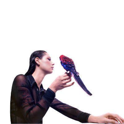 Cummings, Grace - Storm Queen (Limited White Coloured Vinyl) - Happy Valley Grace Cummings Vinyl