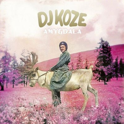 DJ Koze ‎- Amygdala (Limited 2LP / 7" Vinyl) - Happy Valley DJ Koze Vinyl