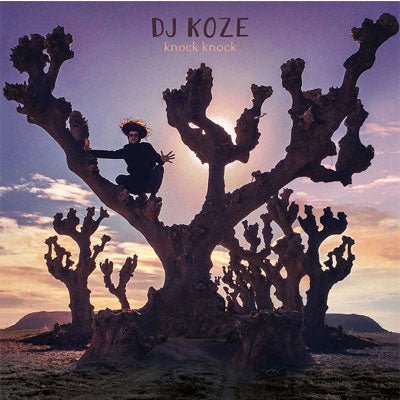DJ Koze - Knock Knock (Vinyl) - Happy Valley DJ Koze Vinyl