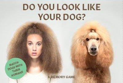 Do You Look Like Your Dog? Match Dogs with Their Humans : A Memory Game - Happy Valley Gerrard Gethings Memory Game
