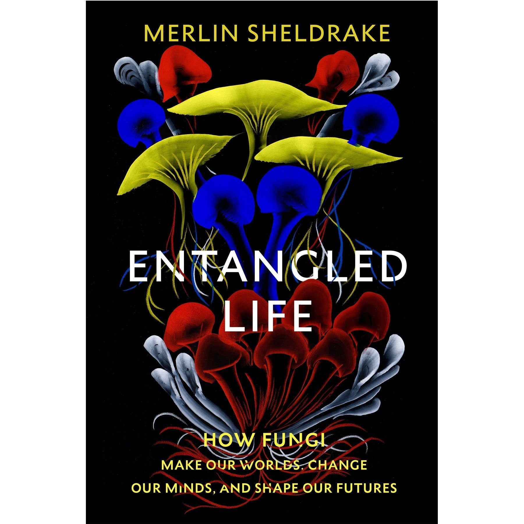 Entangled Life : How Fungi Make Our Worlds, Change Our Minds and Shape Our Futures (Smaller Format) - Happy Valley Merlin Sheldrake Book