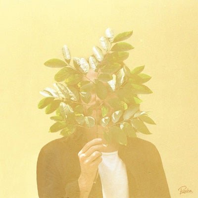 FKJ - French Kiwi Juice (Vinyl) - Happy Valley FKJ (French Kiwi Juice) Vinyl