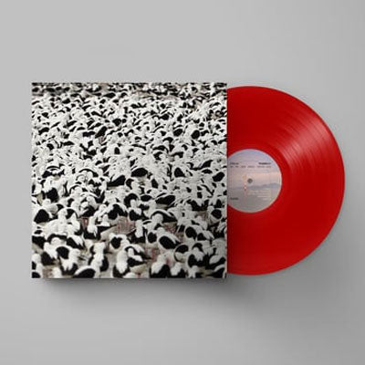 Donnelly, Stella - Flood (Limited Edition Opaque Red Vinyl)